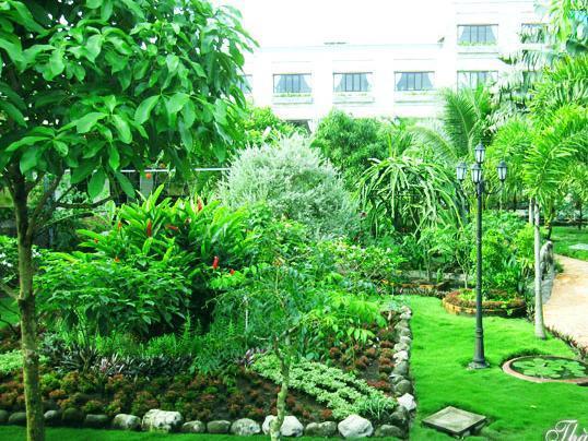 Thanh Dat Resort Cần Thơ Ngoại thất bức ảnh
